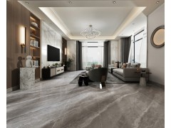 马蒂斯灰 TDPF105图2