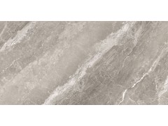 马蒂斯灰 TDPF105图6