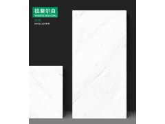 特地·负离子瓷砖 拉斐尔白图2