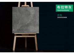 特地·负离子瓷砖 贝加尔布拉特灰图2