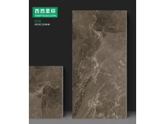 特地·负离子瓷砖 莫兰迪西西里棕图2