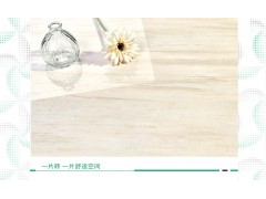 特地 客厅大板600x900大理石瓷砖背景墙卧室地砖釉面砖简约地板砖图2