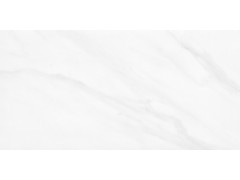QTF48Q21A 阿斯丁白图2