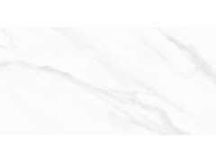QTF48Q21A 阿斯丁白图3
