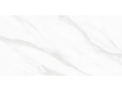 QTF48Q21A 阿斯丁白图4