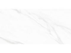 QTF48Q21A 阿斯丁白图5