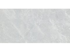 QTF48Q17A 维纳斯灰图2