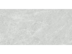 QTF48Q17A 维纳斯灰图5