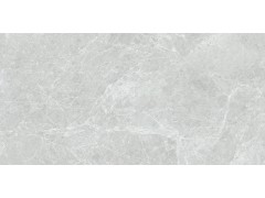 QTF48Q17A 维纳斯灰图6