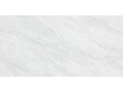 QTF48Q16A 依云灰图2