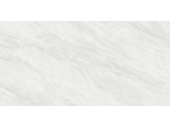 QTF48Q16A 依云灰图3