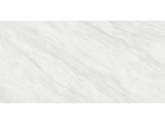 QTF48Q16A 依云灰图4