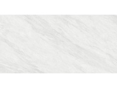 QTF48Q16A 依云灰图5