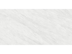 QTF48Q16A 依云灰图6