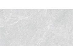 QTF48Q13A 新卡洛灰图5