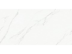 QS189TA121L 卡拉卡塔图4
