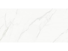 QS189TA121L 卡拉卡塔图5