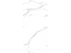 QS1224A01L 至尊卡拉拉白图4