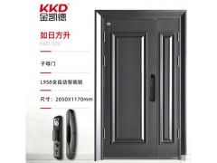 金凯德甲级防盗门如日方升图6