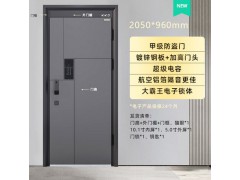 金凯德甲级防盗门云瑞智宁图2