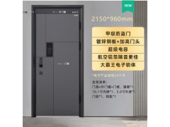 金凯德甲级防盗门云瑞智宁图3