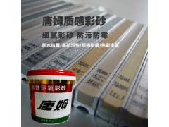 唐姆 931多彩环氧填缝剂图3