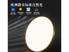 松伟-星辉主卧室吸顶灯图3