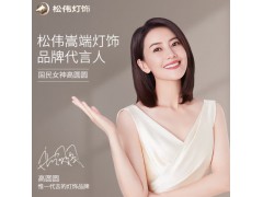 松伟-飞翼书房吸顶灯图3