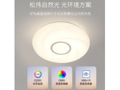 松伟-飞翼书房吸顶灯图5