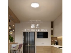 松伟-晨光吸顶灯图2