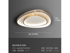 松伟-彩云之南吸顶灯图6