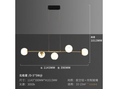 松伟-北极星吊灯图8