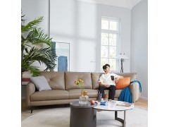HTL全球沙发大师 情书 HTL-12882图4