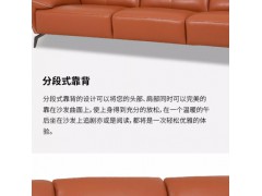 HTL头层牛皮简约现代客厅中小户型沙发组合定制幸运女神HTL-12442图4