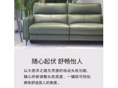HTL定制沙发客厅简约现代头层牛皮真皮沙发挪威四季RS-12305-PR图4