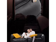 Domicil全皮沙发小户型大二人位轻奢客厅简约ins家具DM-A0074图3