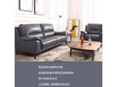 Domicil欧式真皮功能三人位沙发皮艺现代小户型组合DM-11075-W1图3