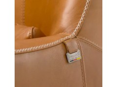 Domicil单椅   DM-A6106-CS图4