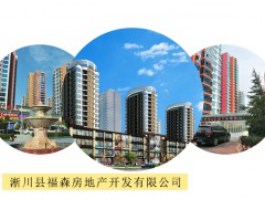 淅川县福森房地产开发有限公司