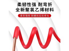 郑十电线 BV2.5平方图2