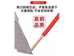 郑十电线 BV2.5平方图3