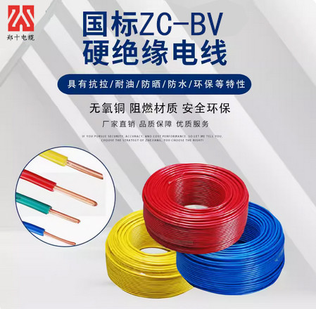 郑十电线 BV4平方
