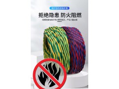 郑十电线RVS-2Ⅹ0.75平方图5